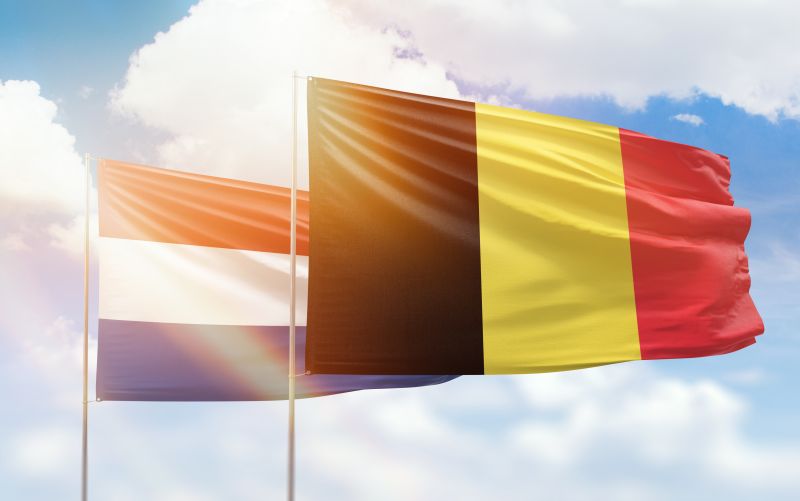 zakaz ruchu transport drogowy belgia i holandia